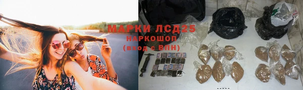 твердый Арсеньев