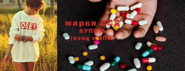 прущие грибы Армянск