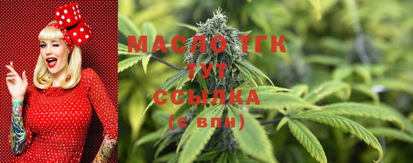 твердый Арсеньев