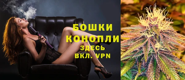 прущие грибы Армянск