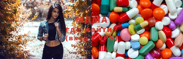 прущие грибы Армянск