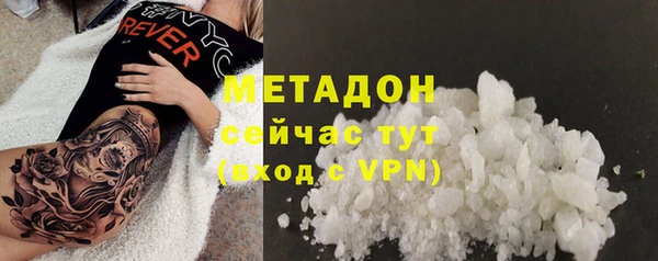 прущие грибы Армянск