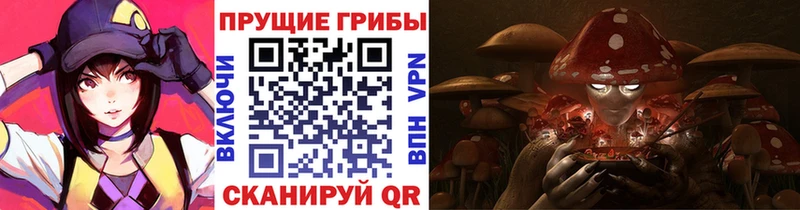 Галлюциногенные грибы мицелий где купить Богданович